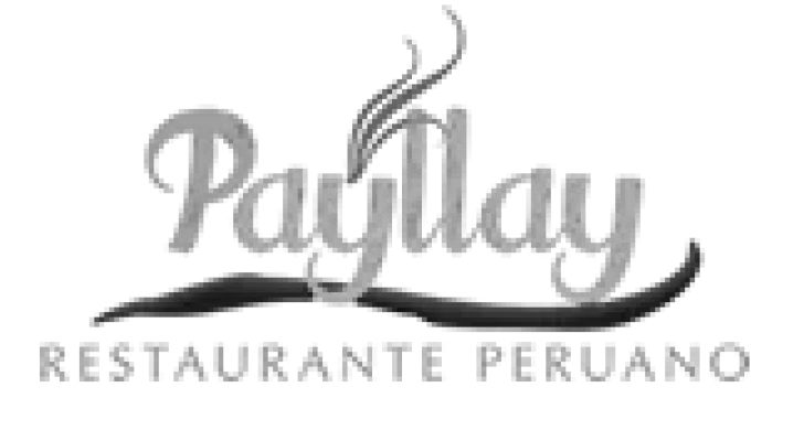 partner_1767411520_170a4eca_small